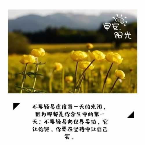 出款维护额度恢复(怎么才能拿回钱)