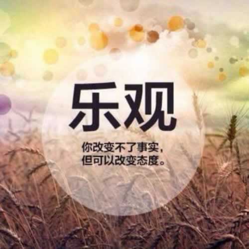 网上抽查审核提不了款( 应该怎么办)