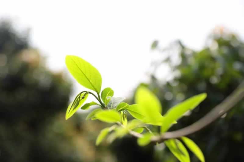 在黑网数据延迟出款失败(我的钱到底去哪了)